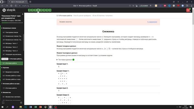 Степик питон для начинающих ответы