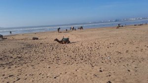 Марокко - Эссуэйра (Morocco - Essaouira). Декабрь 2022