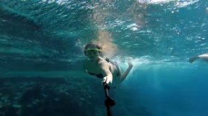 Египет, Шарм-эль-Шейх, Coral Sea Waterworld