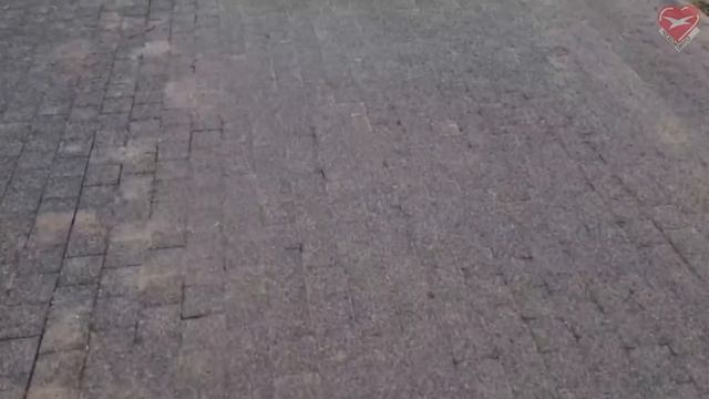 Парк городской... "Они денно и ночьно заботятся о нас... Дружно все вместе и с надлежащим почте... смотреть онлайн