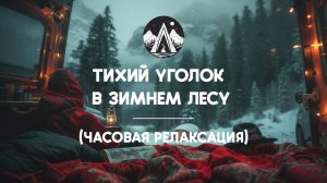 Тихий уголок в зимнем лесу