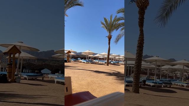 #шармэльшейх2024 #египет2024 #отдыхвегипте #египет #шарм #отдых #shars смотреть онлайн