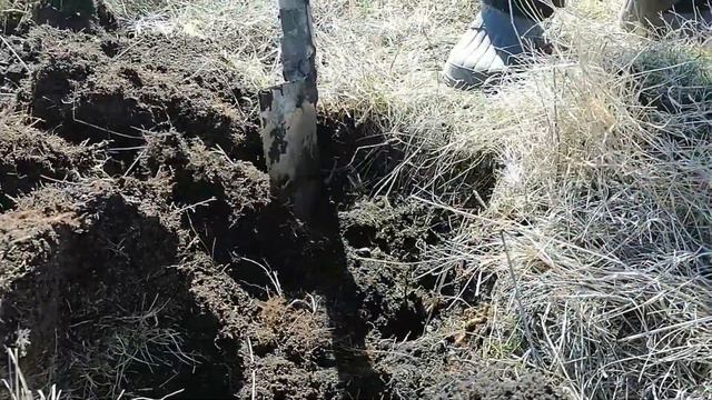 Первый коп металла в этом году смотреть онлайн