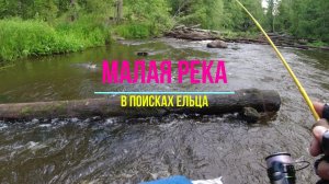 #438 #мормышинг| Малая река | Лещ, щука, окунь, плотва, елец |