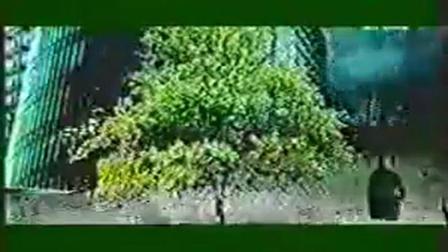 Ритм Жизни. Какое влияние оказывает музыка на человека? смотреть онлайн