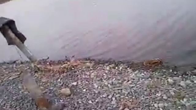 Видеоотчет от наших постоянных клиентов смотреть онлайн