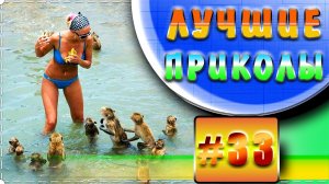 Лучшие Приколы 2022 Смешные видео - Я РЖАЛ ДО СЛЕЗ / Лучшие Приколы #33