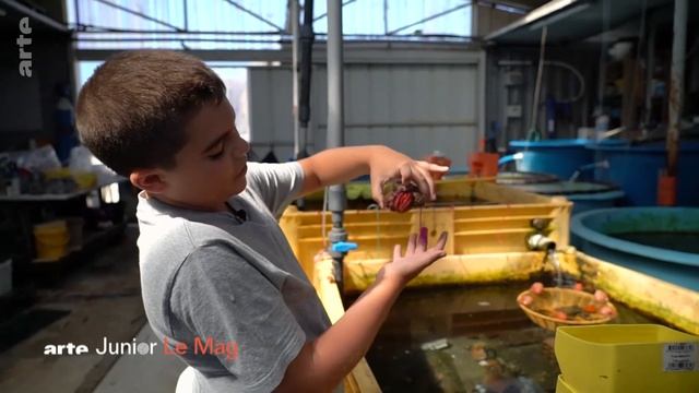 Portrait d'enfant : Tom à La Ciotat | ARTE смотреть онлайн