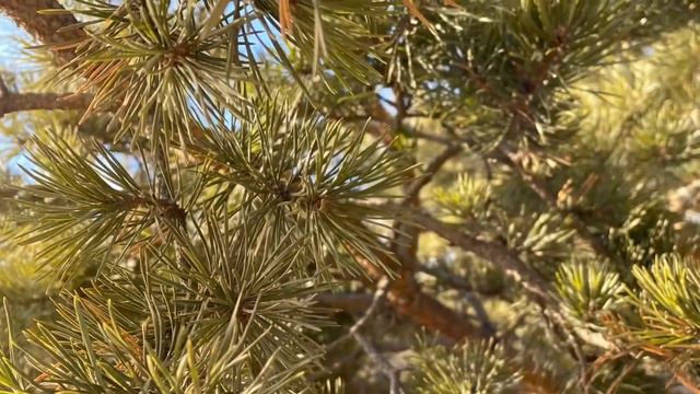 1 7 декабря 2021 г. Путешествие на Байкал смотреть онлайн