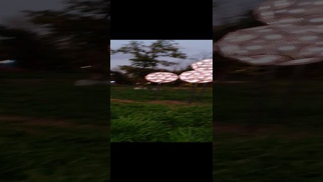 разноцветные одуванчики смотреть онлайн