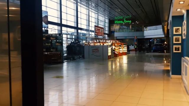 Анатолий Павлович Марчевский в аэропорту "Кольцово" смотреть онлайн