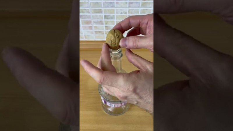 Как аккуратно расколоть грецкий орех | Лайфхаки от Нечетова | nechetoff | ПОДПИШИСЬ ⬇️ #Shorts