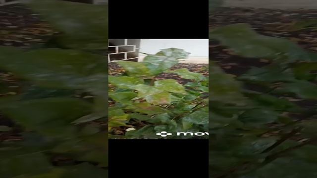 Хроника погоды 26.10.22 г