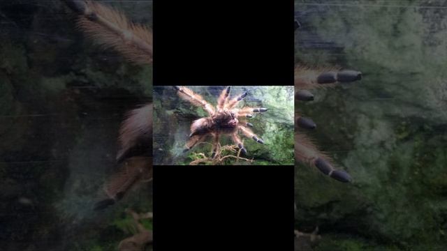 Испания, Каталония: малоизвестные музеи и парки Барселоны смотреть онлайн