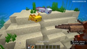 Minecraft 1.17 Snapshot 20w51a The Axolotl Has Arrived!