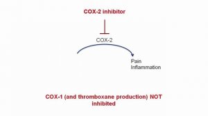USMLE RX - 8.Анатомия - 4.Фармакология - 5.Целекоксиб
