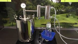 Гидролат сирени (паровая вытяжка из сирени)