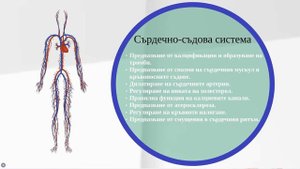 Здравни ползи - диатомит и магнезиев хлорид