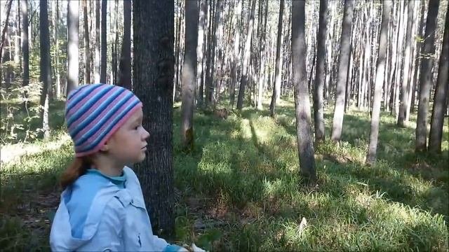 Маленькие грибники
