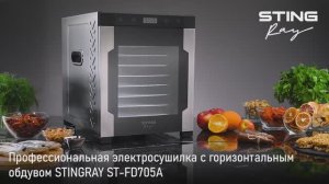Профессиональная электросушилка STINGRAY ST-FD705A