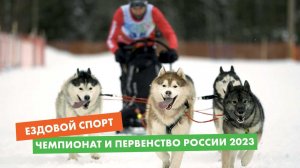 Чемпионат и Первенство России по ездовому спорту. Специальный репортаж «Хвост Ньюс»