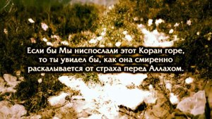 Мухаммад Люхайдан Сура Хашр 18-24  Самое красивое чтение