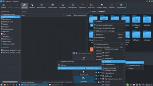 Настройка файлового менеджера Dolphin (Дельфин) на LinuxMint 18 KDE5 x64