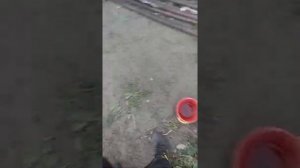 шашлычок туду ду ду ду ду и лучок ту ду ду ду