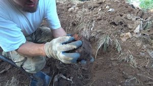 КОПНУЛ ЯМУ А ТАМ... ПОЛНЫЕ МЕШКИ МЕДИ И АЛЮМИНИЯ | Коп металлолома с металлоискателем