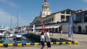 Сочи морпорт. Прогулка в солнечный день. Роскошные пальмы. Набережная Сочи летом. Сквер Петра1. 202