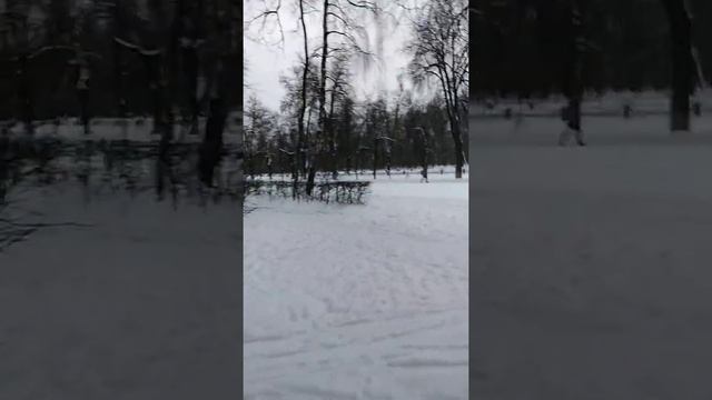 Прогулка в парке Кузьминки? С Наступающим старым новым годом! ?❄️?
