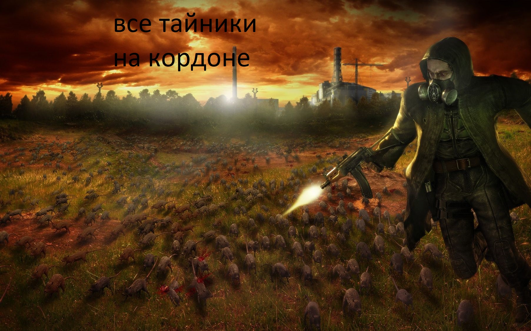 ТАЙНИКИ,КОРДОН