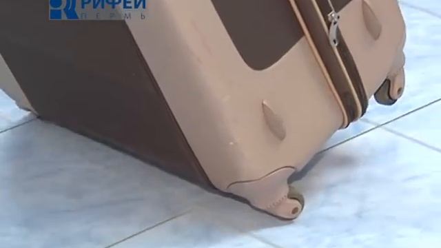 Сюжет Как выбрать чемодан смотреть онлайн