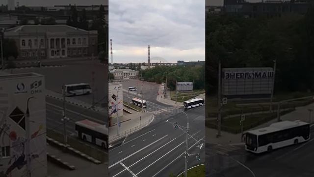 Ничего необычного для Белгорода, всего лишь косуля на утренней пробежке