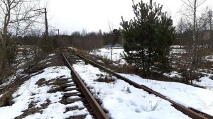 Заброшенная линия "Краснофлотск - Лебяжье" (6.03.2021)