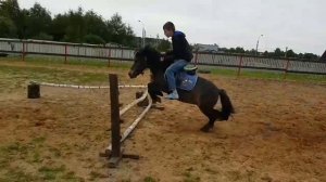 Шетландский пони, первые прыжки пони и мальчика