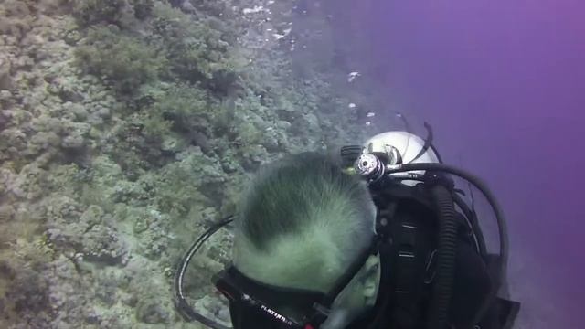 Дайвинг в Марса эль Аламе. Египет. Погружение в эльфинстоун. смотреть онлайн