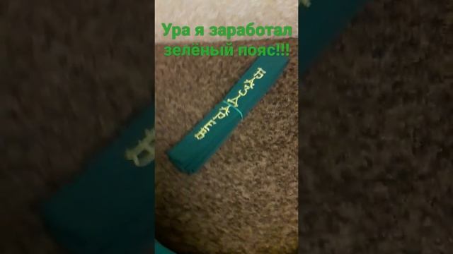 Заработал зелёный пояс.(Каратэ?)