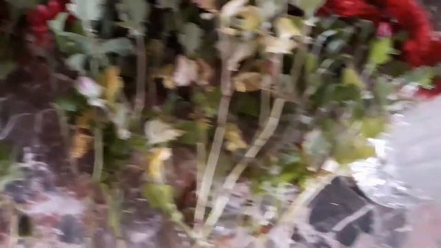 Я ВАКЦИНИРОВАЛАСЬ❤КАК МНЕ ПРЕДЛОЖИЛИ РАБОТУ НА ЦВЕТОЧНОМ РЫНКЕ?КРАШУСЬ В БРЮНЕТКУ?БРАУНИ ИЗ КАБАЧКА