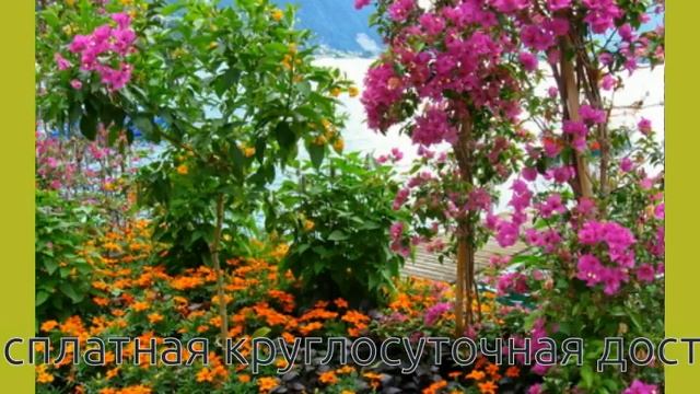 подарок человеку смотреть онлайн