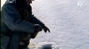 Диалоги о рыбалке №90. Рыбалка на плотву