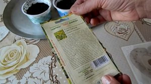 Посев семян клематиса Стратификация