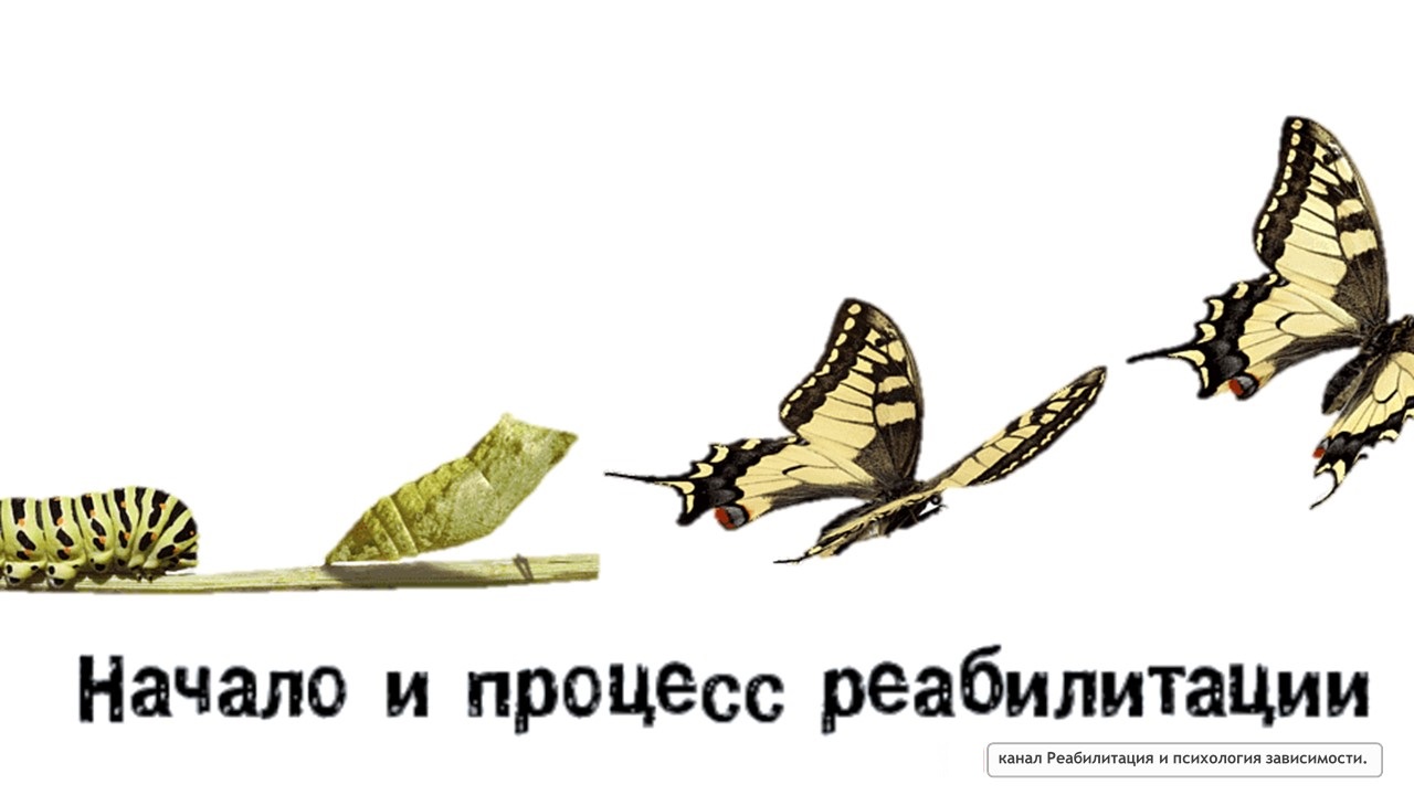 Начало и процесс реабилитации
