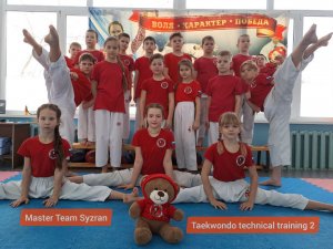 Taekwondo technical training 2. Master Team Syzran