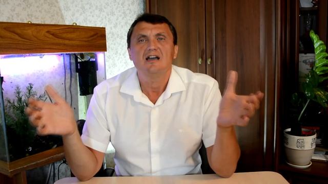 Как не бояться насекомых. Аппаратная психотерапия избавит вас от страха перед насекомыми