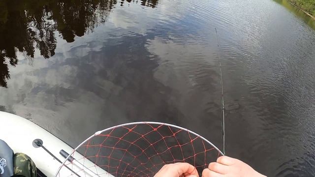 Рыбалка в Немятово 29.05.2022 смотреть онлайн