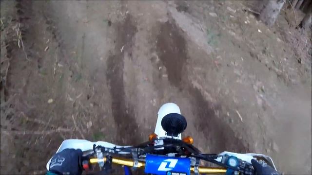 Sortie avec Nelson Monfort ! смотреть онлайн