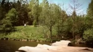 Сломанная ветка Алексей Маклаков