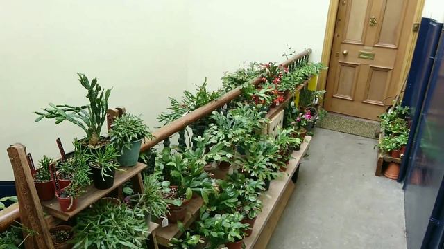 Mid June walk round staircase garden. смотреть онлайн