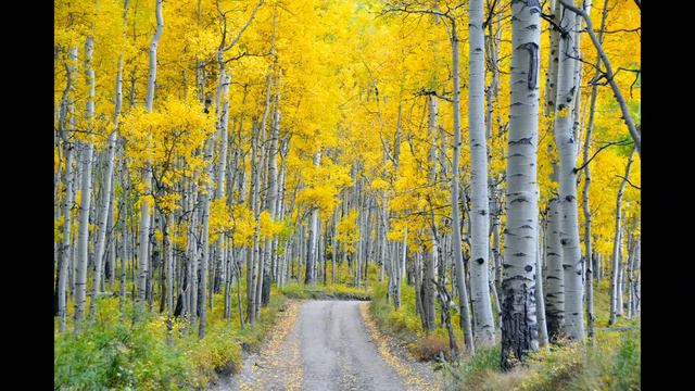 Дорога . музыка и слова М.Прохоров (демо-версия) смотреть онлайн